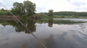 Голавль. В июне на перекате.