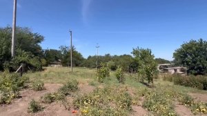 Супер ДОМ с Баней и гостевым домиком/ С виноградниками. ЦЕНА 5 млн. 650 т. р.