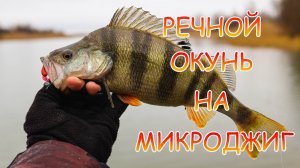 МИКРОДЖИГ на реке 👍 Капризный окунь в дождь! Закрыл сезон 2024 💪