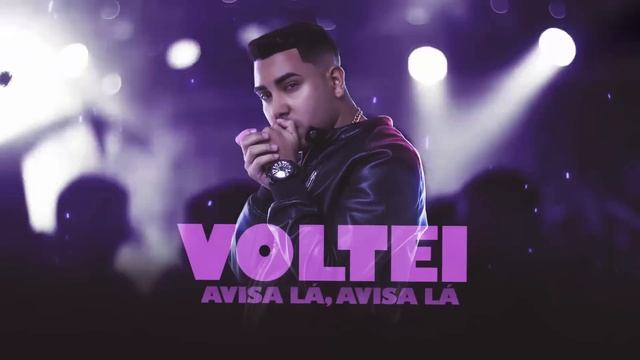 DJ Guuga - Voltei Avisa La, Avisa La (Audio Oficial) смотреть онлайн