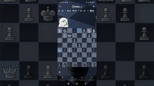 шахматы