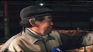 Коротко о моей работе