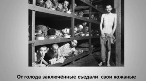 Жертвы фашизма