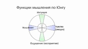 Лекция 3  Теория личности Юнга