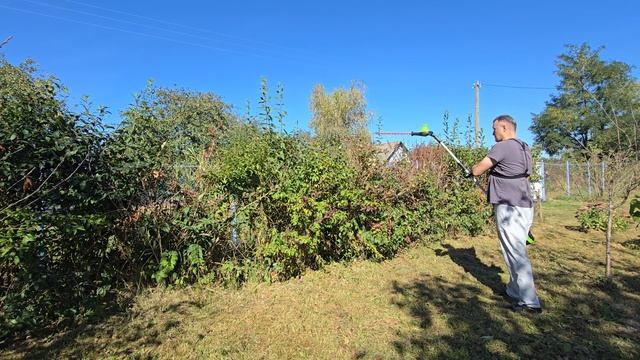 Обзор аккумуляторного штангового кустореза Greenworks GD60PHT61 2301107. Мощность и удобство смотреть онлайн