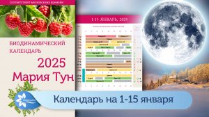 Биодинамический лунный календарь Марии Тун на первую половину января 2025.