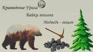 Медведь - геолог. Байки геолога.