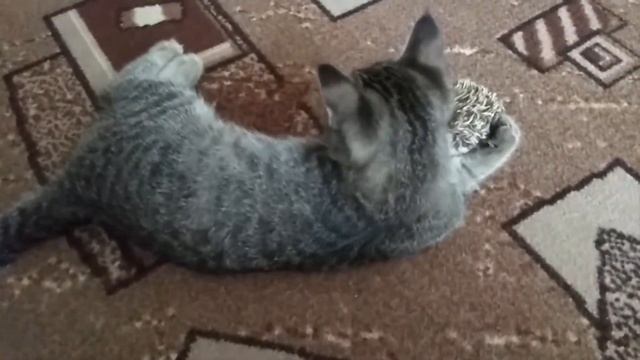 Пищалка игрушка для кошек.