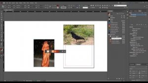 Извлечение цветовой темы в InDesign