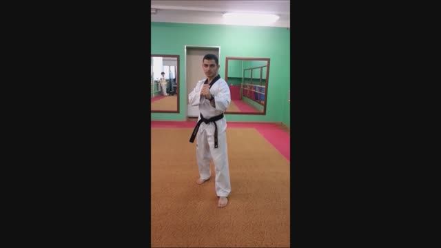 Taekwondo WTF. Стойка Ап Соги.