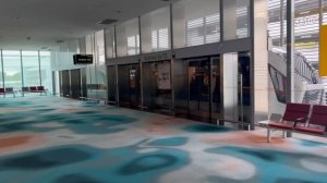 #38 Летим домой! Etihad подвел. Невероятный аэропорт Сингапура. В Абу-Даби тоже неплохо. Зверье мое