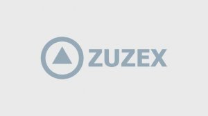 Команда мечты ZUZEX
