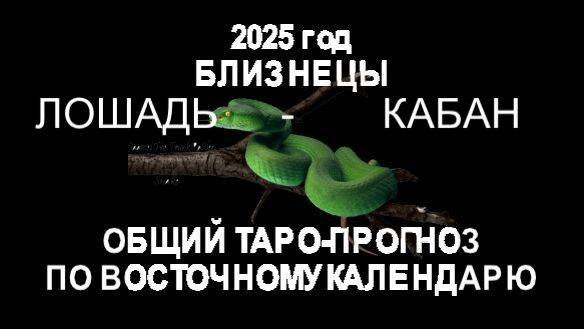 ОБЩИЙ ТАРО-ПРОГНОЗ НА 2025 ГОД ПО ВОСТОЧНОМУ КАЛЕНДАРЮ. БЛИЗНЕЦЫ (ЛОШАДЬ-КАБАН)