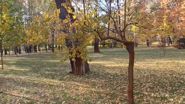 Світлана Заря - Романс "Осінь" муз. і сл. Анатолія Мельника смотреть онлайн