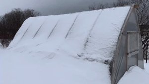 Теплица после первой зимы