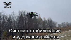 Журавли прилетели