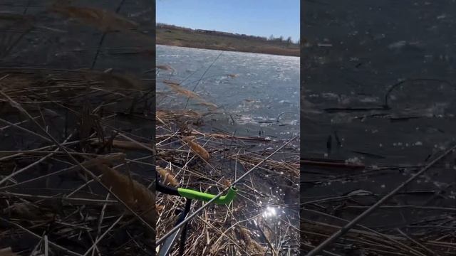 Рыбалка 2023 смотреть онлайн