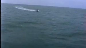 AMF 660 Hardtop Cabin Plate Alloy Boat Action