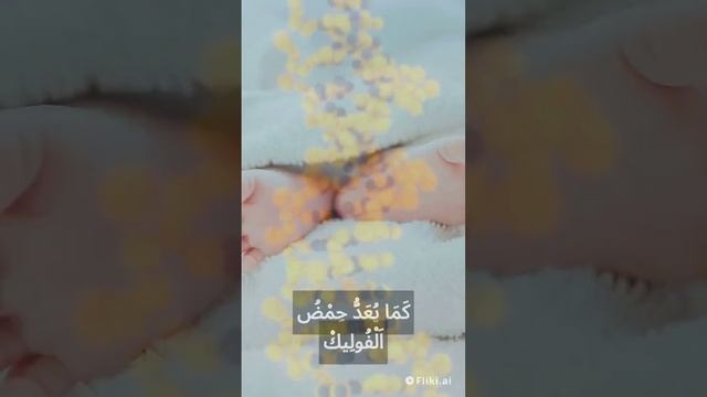 فوائد حمض الفوليك - الخلاصة والنصيحة الأساسية