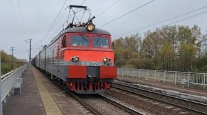 Электровоз ВЛ11 723А с грузовым поездом мимо о.п 252 км.