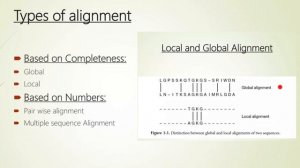 Global Alignment vs. Local Alignment