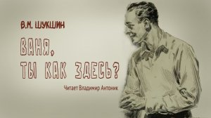 «Ваня, ты как здесь?». В.М.Шукшин. Аудиокнига. Читает Владимир Антоник