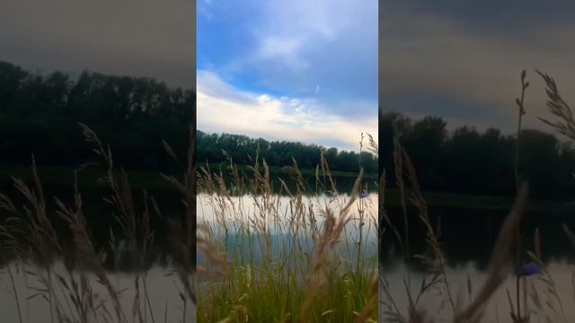 Красота смотреть онлайн