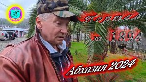 #Абхазия2024 🌴28 декабря. Выпуск №1894❗Погода от Серого Волка🌡вчера +16°🌡ночью +8°🐬море +12,6°