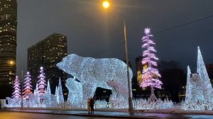 Москва новогодняя. УМКА в Ростокино