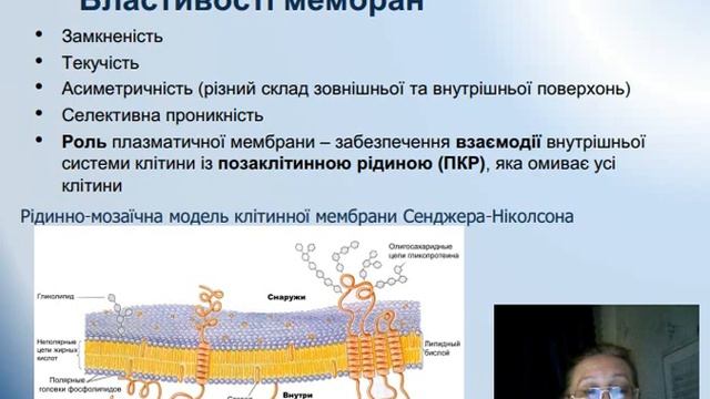 біологія-л1- клітина смотреть онлайн