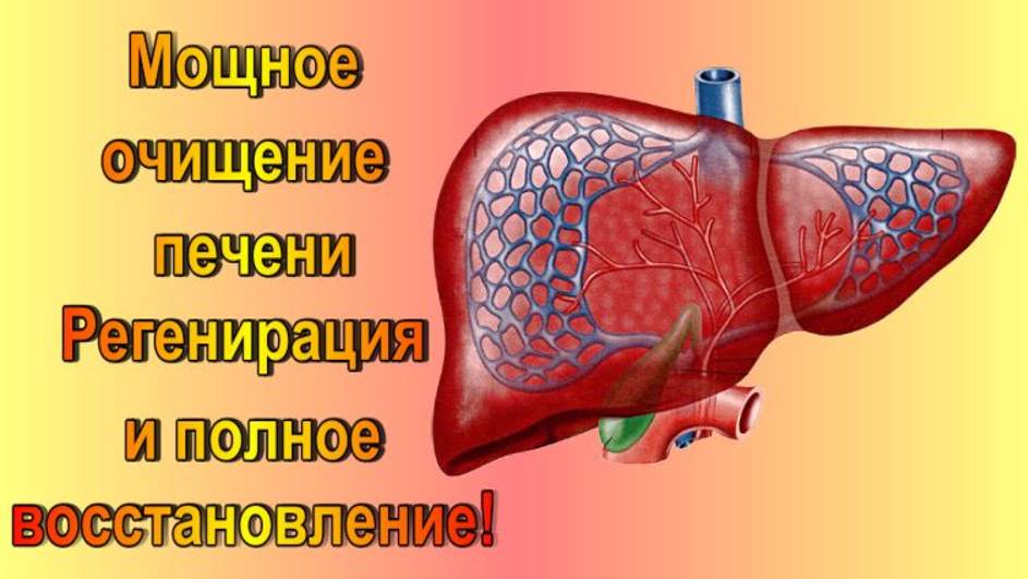 МАТРИЦА П. ГАРЯЕВА МОЩНОЕ ОЧИЩЕНИЕ ПЕЧЕНИ/ РЕГЕНЕРАЦИЯ И ПОЛНОЕ ВОССТАНОВЛЕНИЕ/