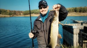 Щука осенью!