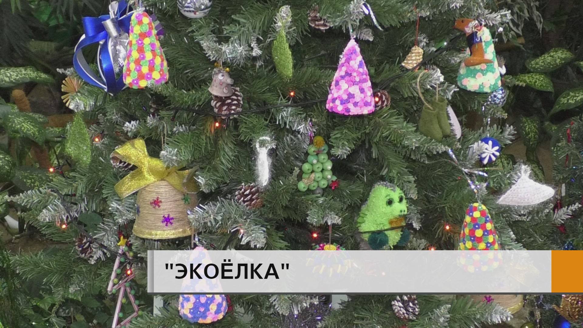 Необычная зеленая красавица появилась в Музее экологии.