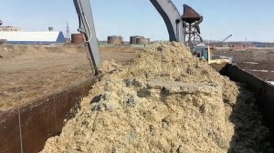 на погрузке жома