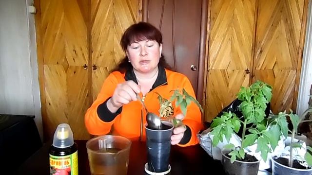 Зачем заглублять стебель при пикировке