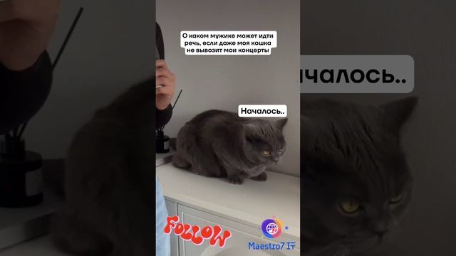 😸 Кот и девушка 💃