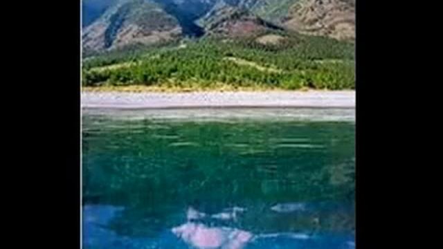 Фильм 0011 смотреть онлайн