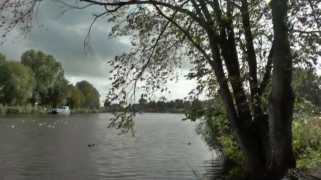 Ветер смотреть онлайн