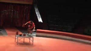 Эквилибр на катушках+актёрское мастерство=талант цирк-Equilibre on the reels+acting