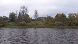 Земельный участок 10 соток., Псковская обл.