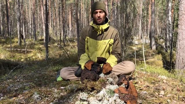 О компании ФитоДар.