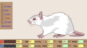 Анафилактический шок