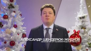 НГ 2025 Александр Шендерюк-Жидков