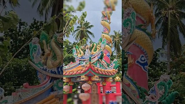 Дерево растет из камня, китайский храм, поющая собака смотреть онлайн