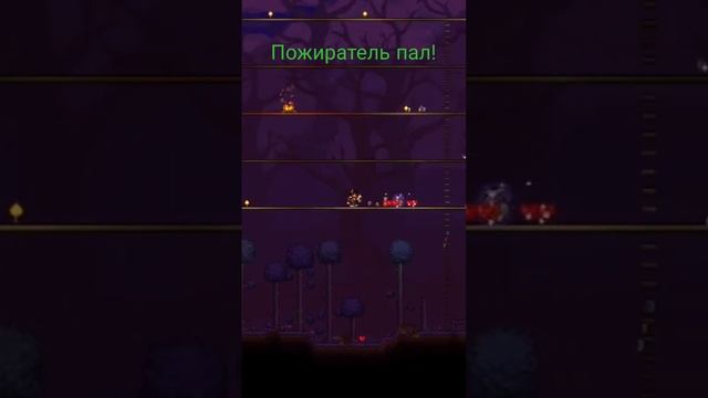 Пожиратель. #terraria #стрим #общение #rpg #games #game #террария