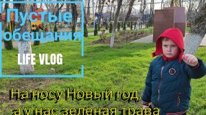 Пустые обещания 🫤 На носу Новый год, а у нас зелёная трава 🌱