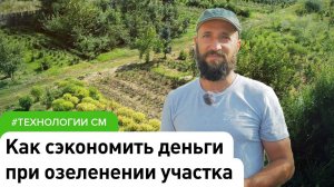 Экономим деньги при создании сада. Посадке саженцев весной, летом и осенью с помощью...