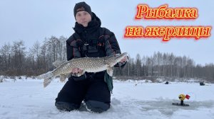 РЫБАЛКА НА ЖЕРЛИЦЫ. ТРОФЕЙ РЕКИ!