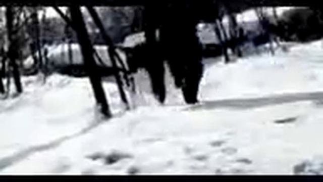Сява Лигализуйте