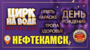 Нефтекамск. Цирк на воде "Мирандус"
